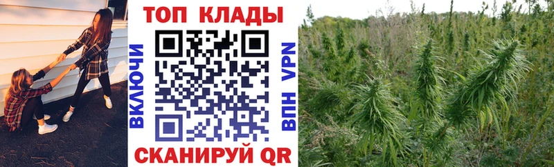 ГАШ Тавда