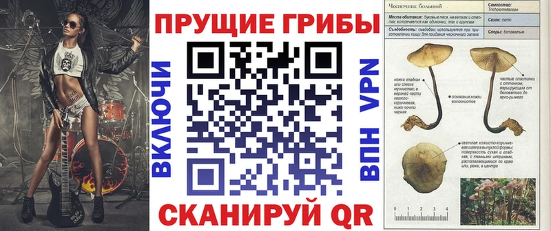 хочу наркоту  hydra сайт  Галлюциногенные грибы Psilocybine cubensis  Тавда 